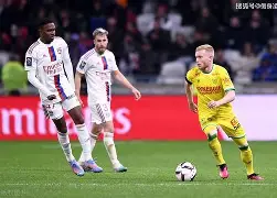 里昂主场战胜南特,继续保持不败的状态